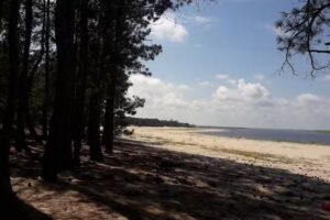 Playa camping 2 San Gregorio de Polanco