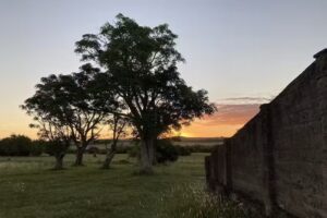 Pulpería lo de Nilo y Renee