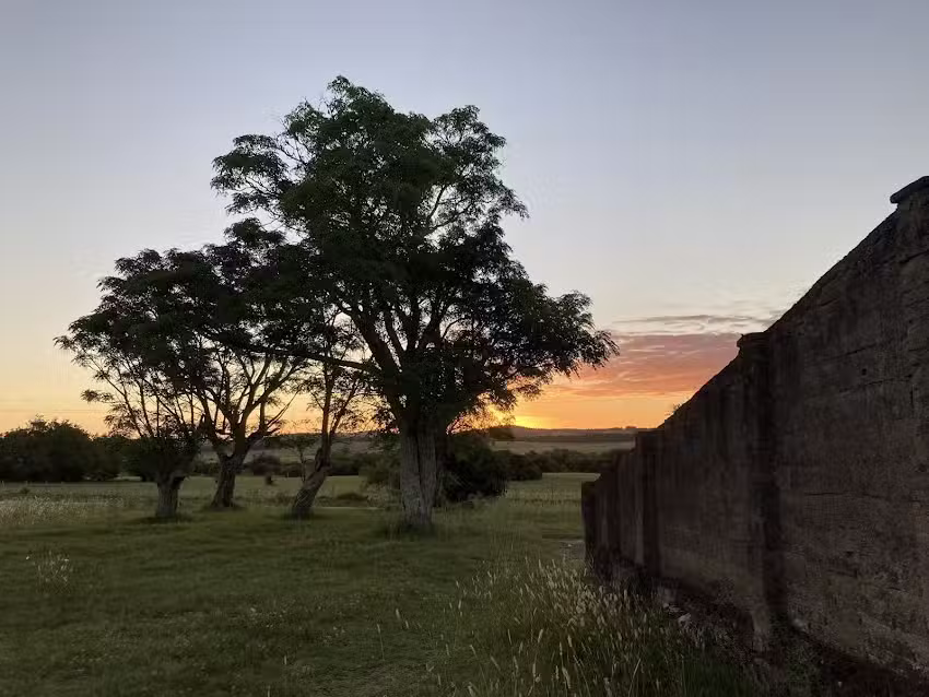 Pulpería lo de Nilo y Renee