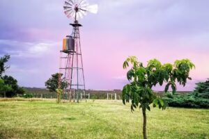 Rincón de Chamangá