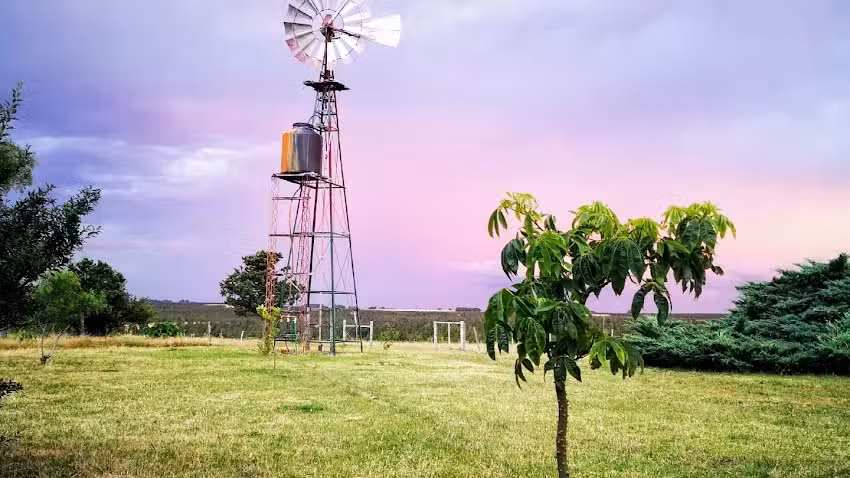 Rincón de Chamangá