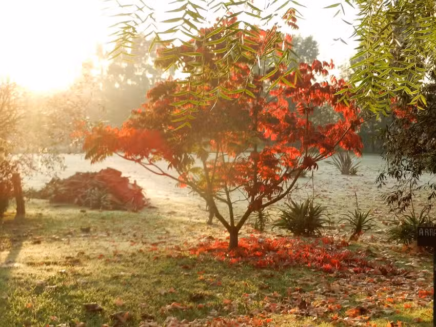 Santa Catalina, Casa de Campo
