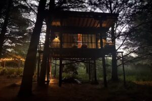 TreeHouse EcoLodge