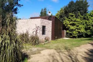 Vientos del Sur, Punta Ballena