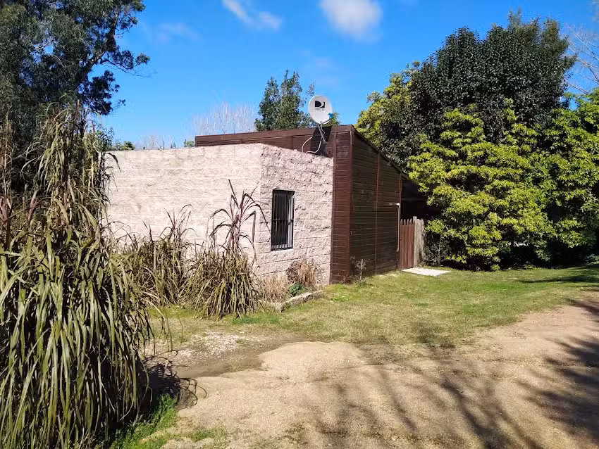 Vientos del Sur, Punta Ballena