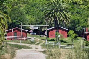 Vigilancia de los Indios